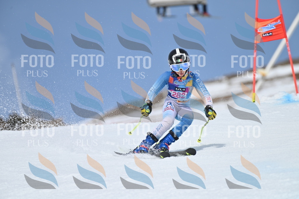 BGV_2440 | holidayphoto