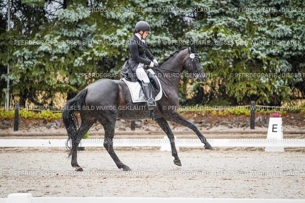 DSC08470 | Pferdegrafie