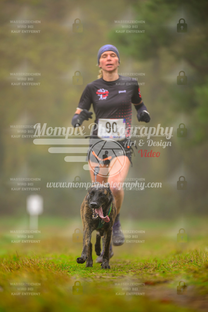 MompixPhotography_Bischwiller2025_Canicross-123 | mompixphotography