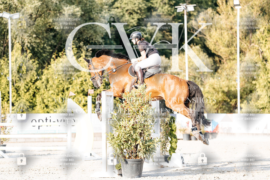 CK903476 | Turnierfotografie Pferdefotografie Trier Rheinland-Pfalz Pferdesport Reitsport Tierfotografie Sportfotografie Pferdevideo Pferdevideografie Equestrianvideography equestrianphotography  - Realisiert mit Pictrs.com