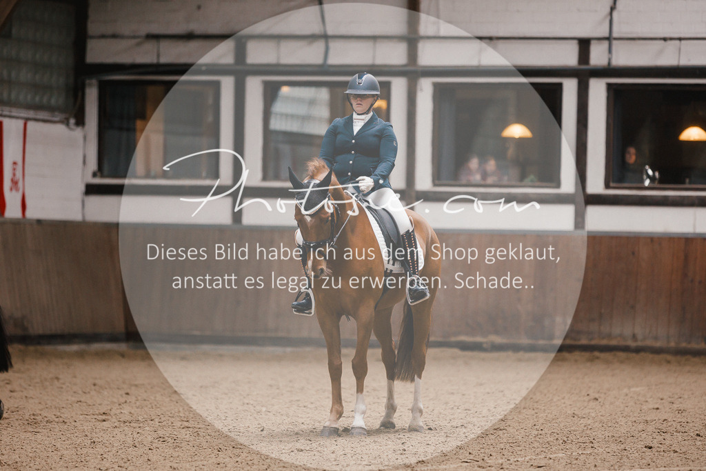 3I6A7120 | Stimmungsvolle Portraits und Reitsportfotografie im Ruhrgebiet und im Münsterland.

Pferdefotografie, Hundefotografie, Tierfotografie, Reportagen, Portraits von Tier und Mensch, Turnierfotografie in Bochum, Recklinghausen, Marl, Haltern am See, Dülmen.. - Realisiert mit Pictrs.com