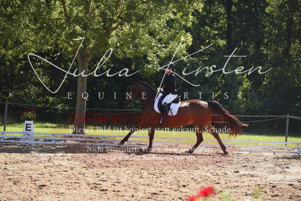 DSC_0387 | Pferde- und Turnierfotografie in Westsachsen. Pferdeportraits, Auftragszeichnungen und intuitive Kunst.