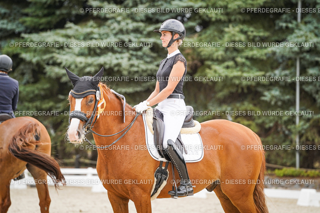 DSC08100 | Pferdegrafie