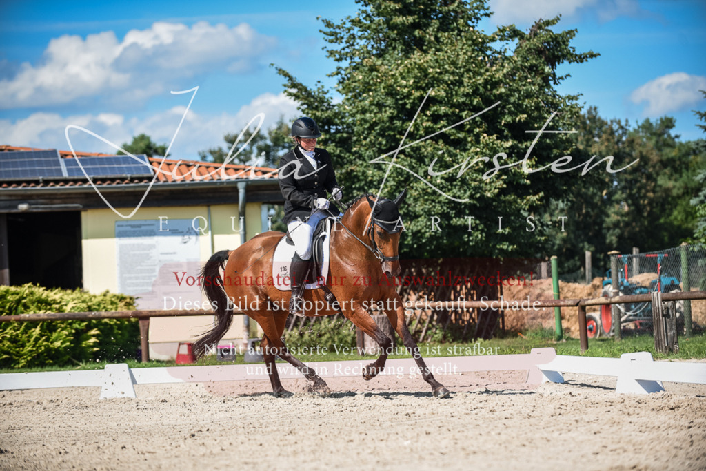 DSC_9644 | Pferde- und Turnierfotografie in Westsachsen. Pferdeportraits, Auftragszeichnungen und intuitive Kunst.