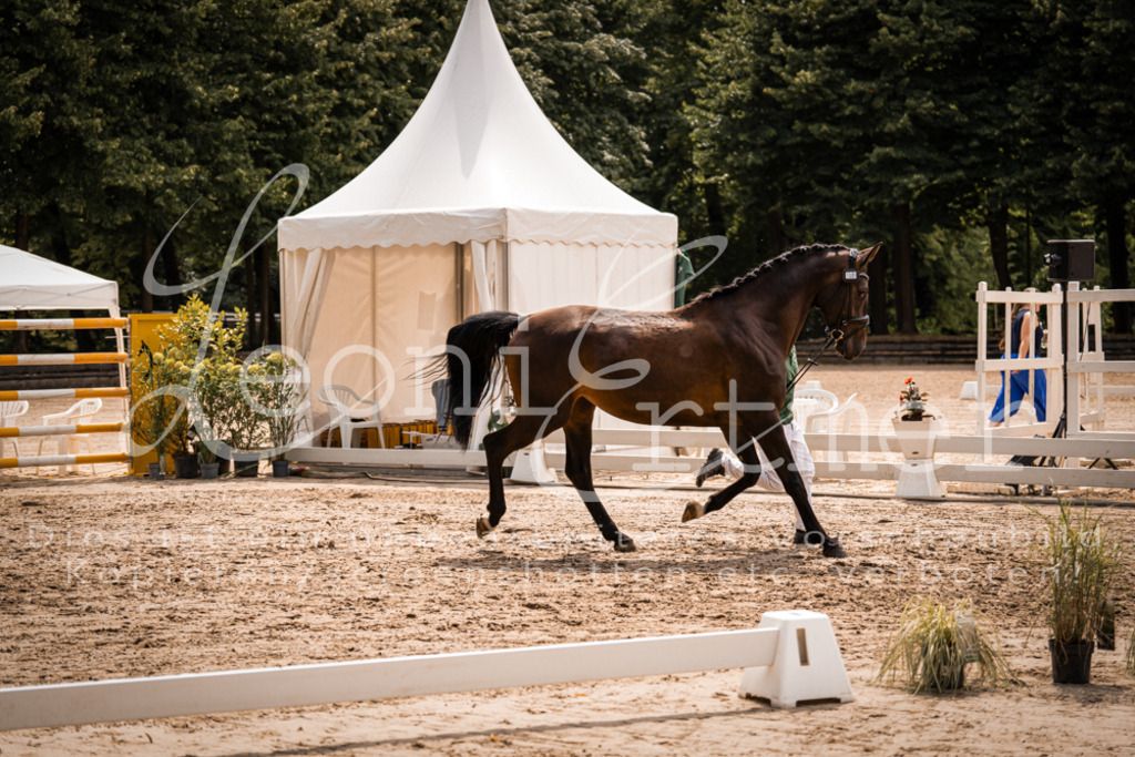 3.Fr00057 | Leoni Ertmer Photography - Realisiert mit Pictrs.com