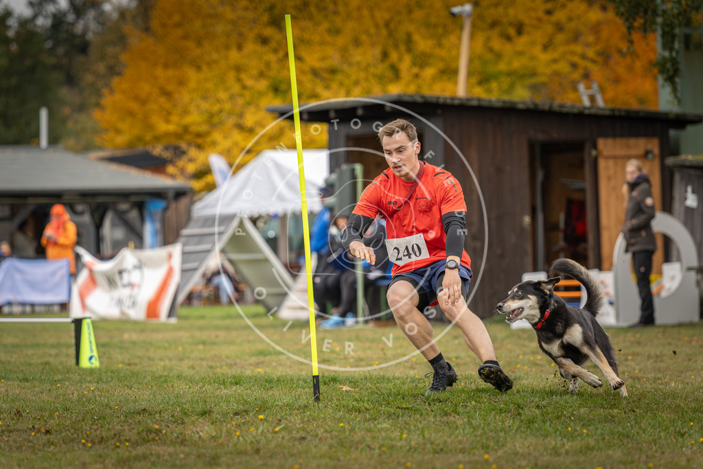 Pfotenfotografie_DV3A5004 | Hundefotografie, Tierfotograf, Pfotenfotografie, Fotoshooting Hund, Hunde Portrait, Hundesport, Hundeportraits, Heideshooting, Hunde, Sportfotograf, Hundefotograf, Turnierhundsport, THS,  - Realisiert mit Pictrs.com