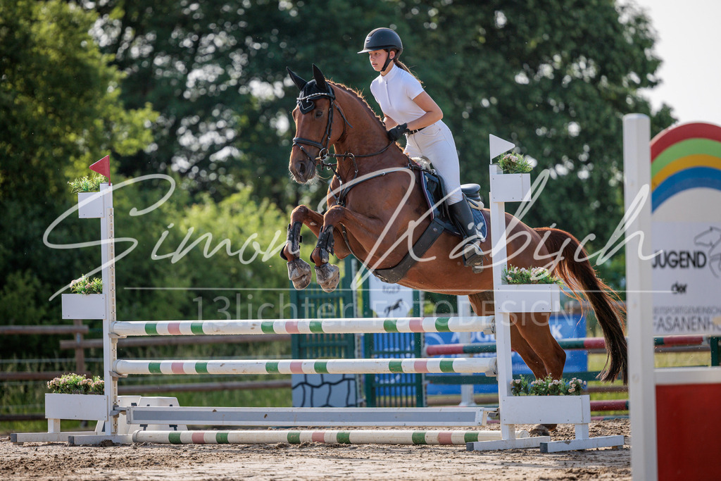 20260529-_3LI0554 | Tierfotografie Pferde, Hunde, Katzen, Haustiere.
Turnierfotografie Reitturniere, Reiten, Springreiten, Dressur in Hanau, dem Main-Kinzig-Kreis und dem Rhein-Main- Gebiet um Frankfurt