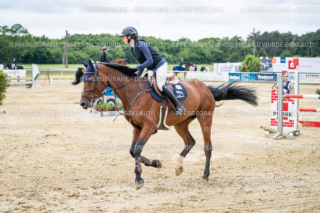 DSC05188 | Pferdegrafie