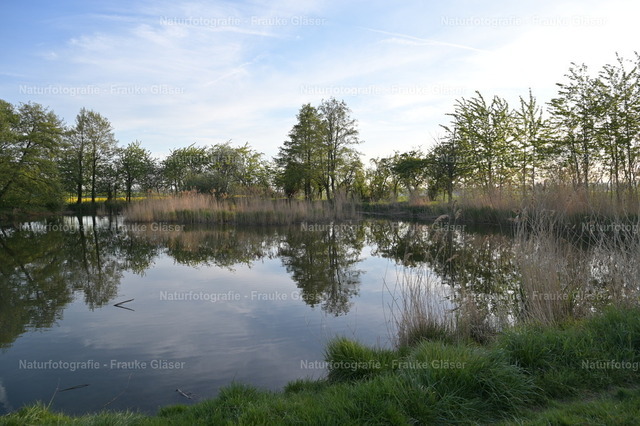 DSC_7653 | Naturfotografie Frauke Gläser - Realisiert mit Pictrs.com