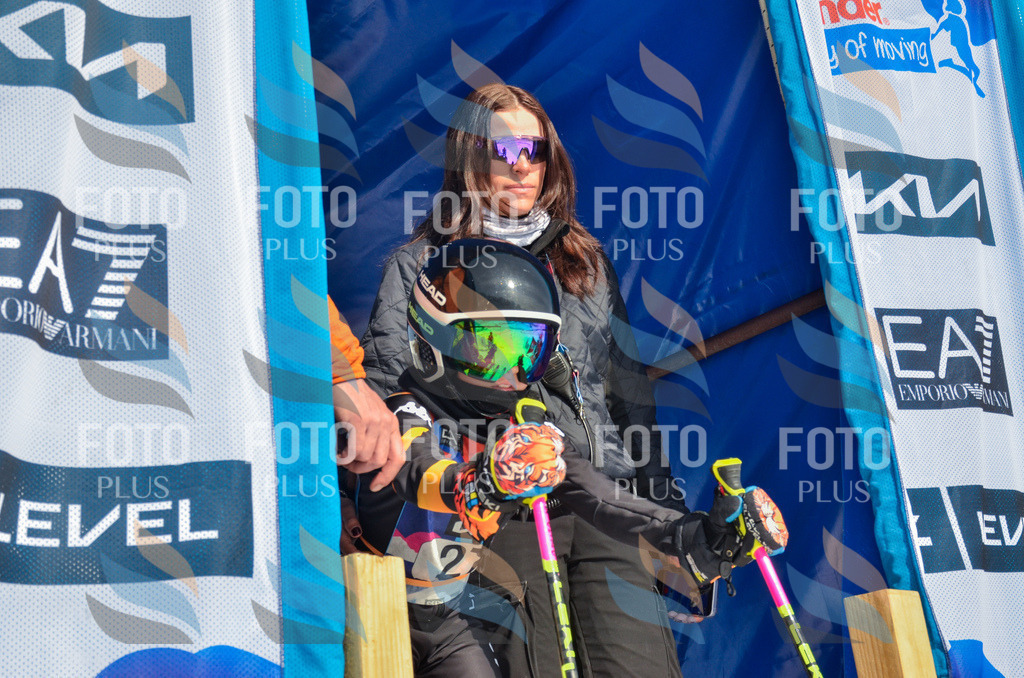 _ELE4825 | holidayphoto