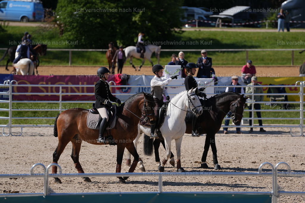 PI26_GesamtCOW_JansPictures_7C_09926.JPG | working equitationturnier fotograf videograf stoibphotography marixx film working equitation deutschland reitsport turnierfotografie eventfotografie equestrian events