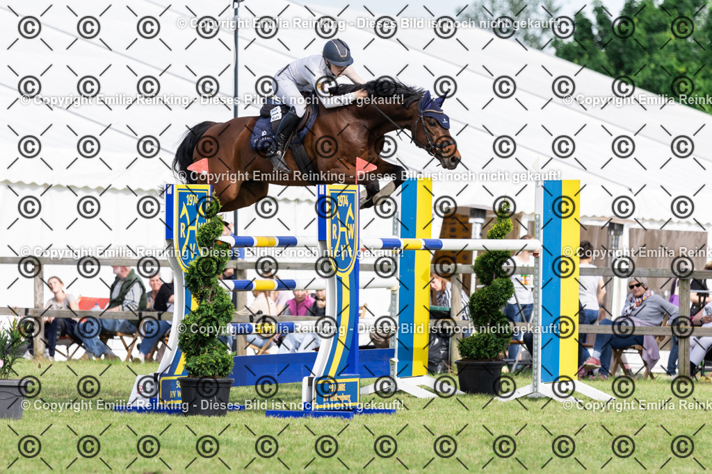 CL5A0290 | Emilia Reinking Fotografie - Realisiert mit Pictrs.com