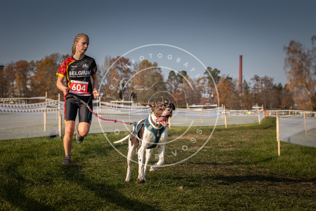 CaniXpix_0L8A0121 | Hundefotografie, Tierfotograf, Pfotenfotografie, Fotoshooting Hund, Hunde Portrait, Hundesport, Hundeportraits, Heideshooting, Hunde, Sportfotograf, Hundefotograf, Turnierhundsport, THS,  - Realisiert mit Pictrs.com