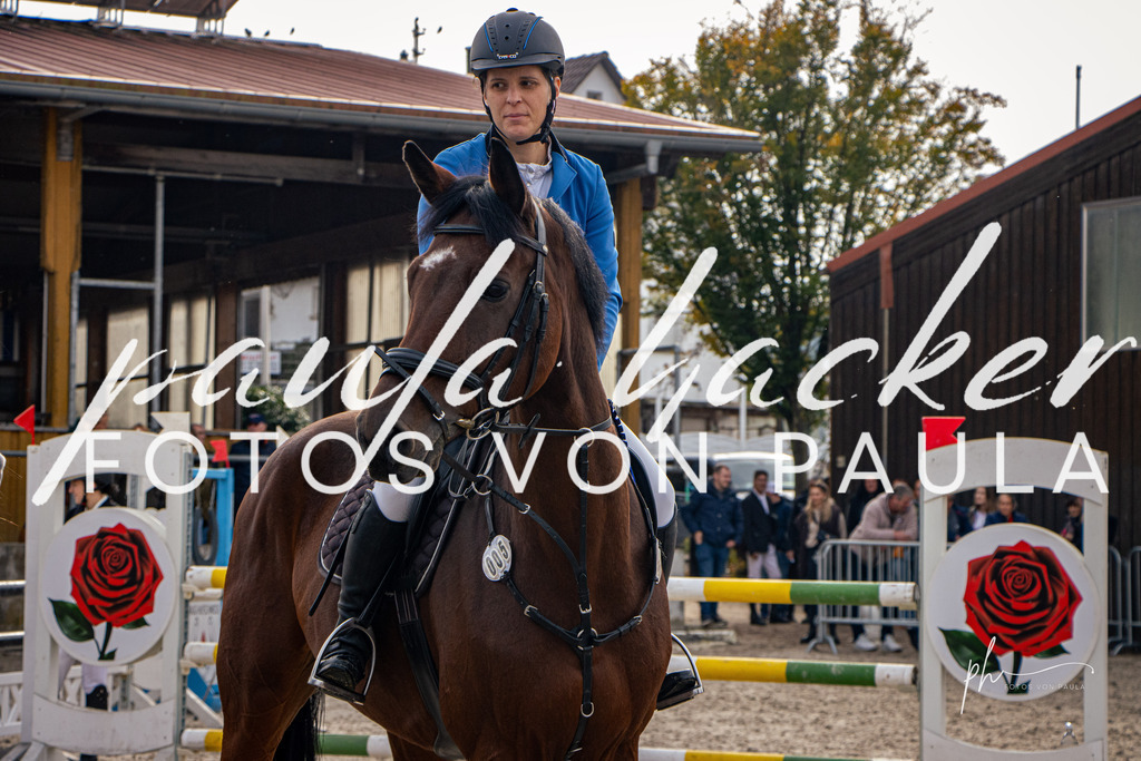IMG_4541 | Erleben Sie dynamische Sport- und emotionale Tierfotografie in Süddeutschland mit Fotos von Paula. Spezialisiert auf Pferde- und Hundefotografie sowie Sportevents. Kontaktieren Sie mich für einzigartige und ausdrucksstarke Bilder Ihrer besonderen Momente. - Realisiert mit Pictrs.com