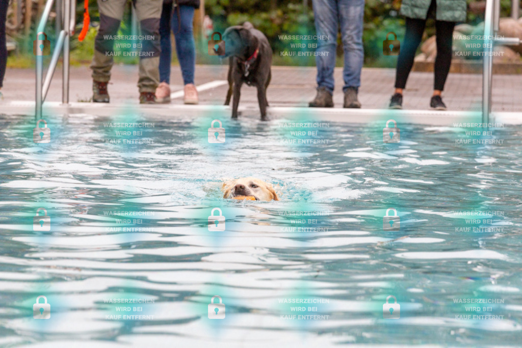 _HP_7175_1000o | HetPix, HetPix Fotodesign, Fotografie, Fotodesign, Webshop, Sportfotografie, Portraitfotografie, Onlineshop, Sportfotografie, Polch, Motorsportfotografie, Eventfotografie