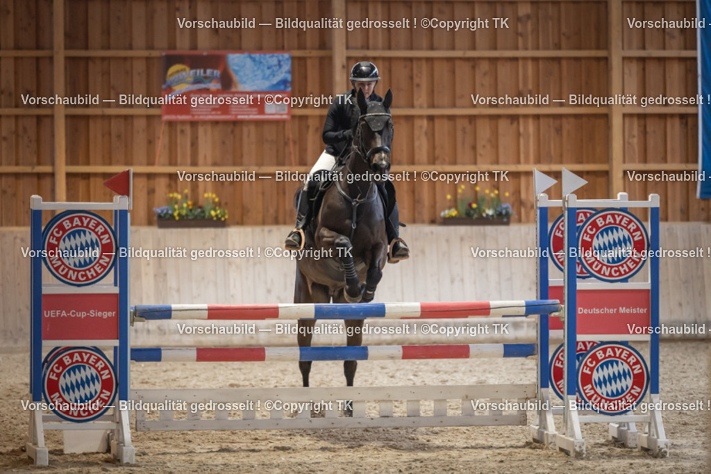 _D5A8591 | Emotionale Pferde- & People-Fotografie rund um Heidelberg, Leimen & Umgebung. Natürliche Fotos von Pferd, Mensch & Familie. Jetzt Termin sichern!