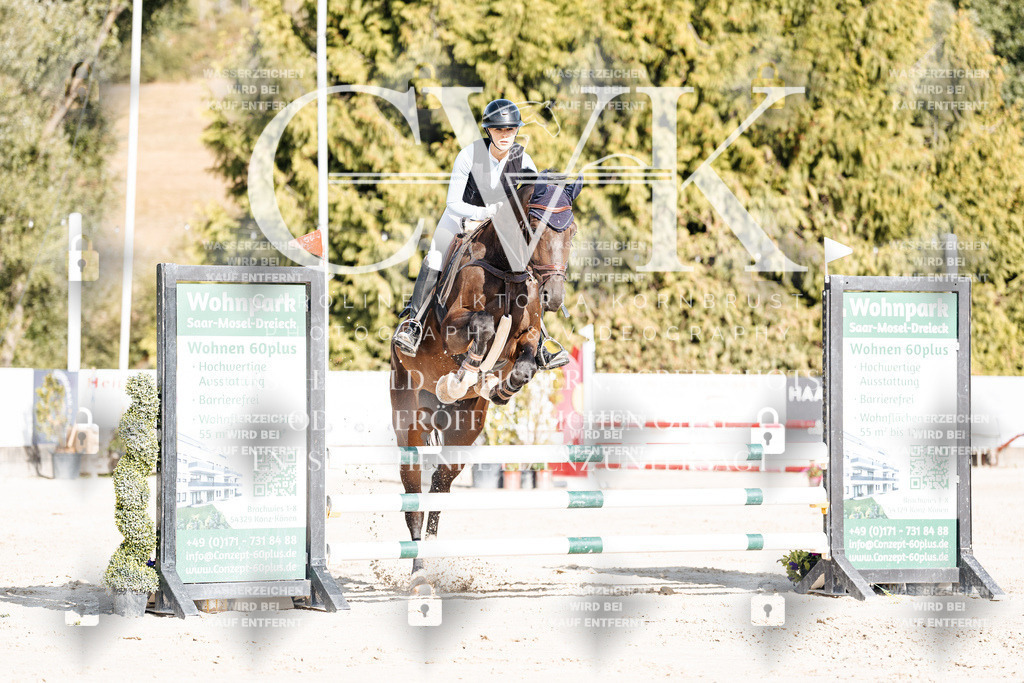 CK909249 | Turnierfotografie Pferdefotografie Trier Rheinland-Pfalz Pferdesport Reitsport Tierfotografie Sportfotografie Pferdevideo Pferdevideografie Equestrianvideography equestrianphotography  - Realisiert mit Pictrs.com
