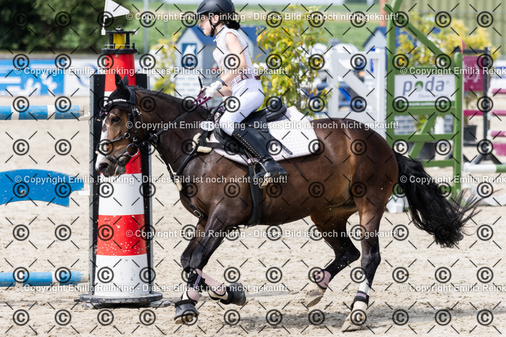 CL5A4135 | Emilia Reinking Fotografie - Realisiert mit Pictrs.com