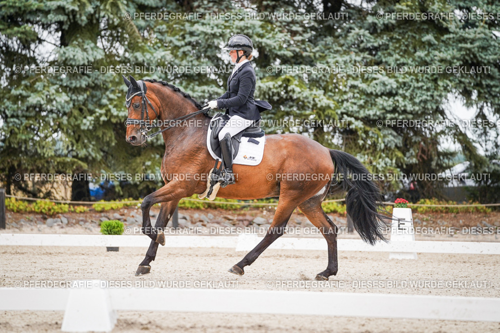 DSC08287 | Pferdegrafie