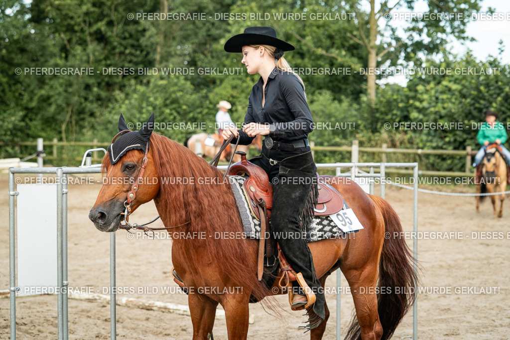 DSC06007 | Pferdegrafie