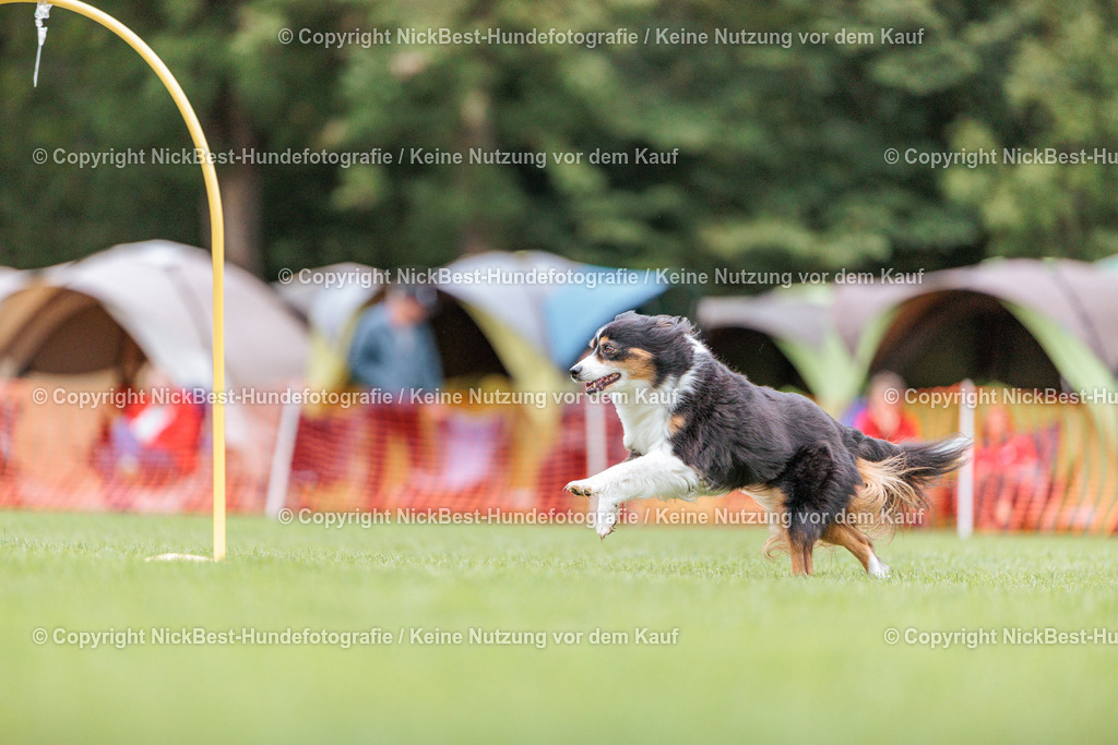BSP Hoopers-H1 Tag2-2026-Nickbest-Hundefotografie-TuS Komet Arsten e.V.-2114 | Dein Hund! Dein Moment! Deine Erinnerungen! Hundefotografie in Bremen Blumenthal. Ich fange die besonderen Momente deines Vierbeiners ein – ob Indoor mit Blitzanlage oder in der freien Natur. Sicher dir dein Moment und dein Termin für eure Erinnerungen.