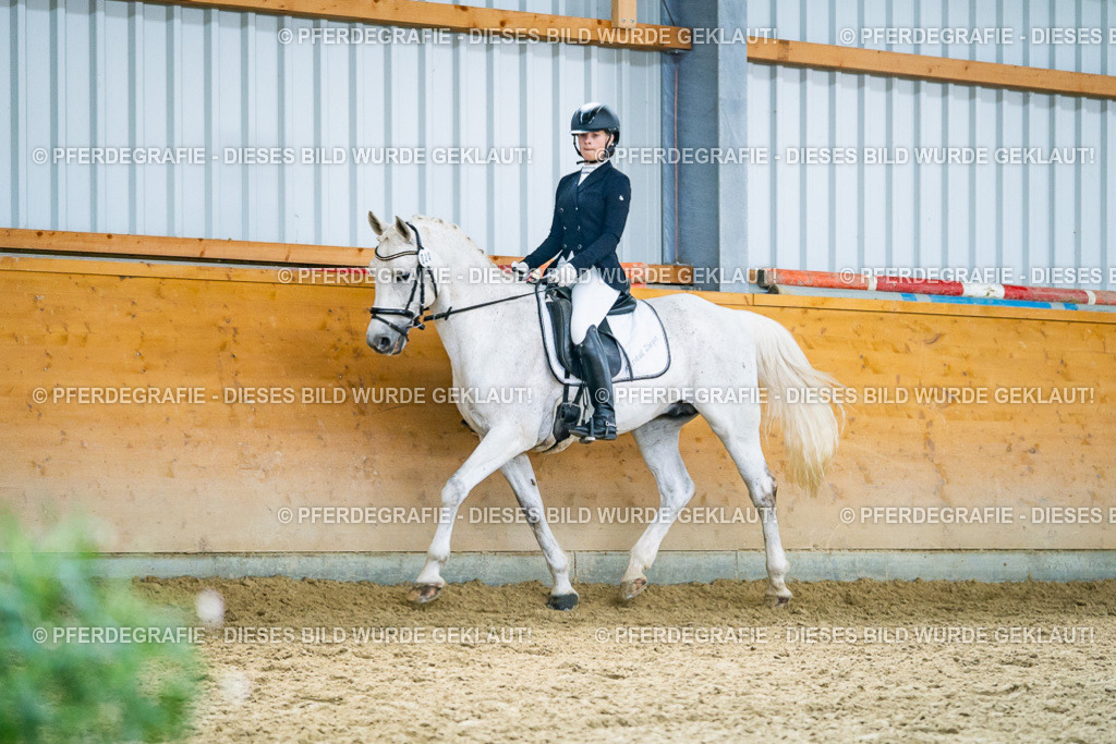 DSC04065 | Pferdegrafie