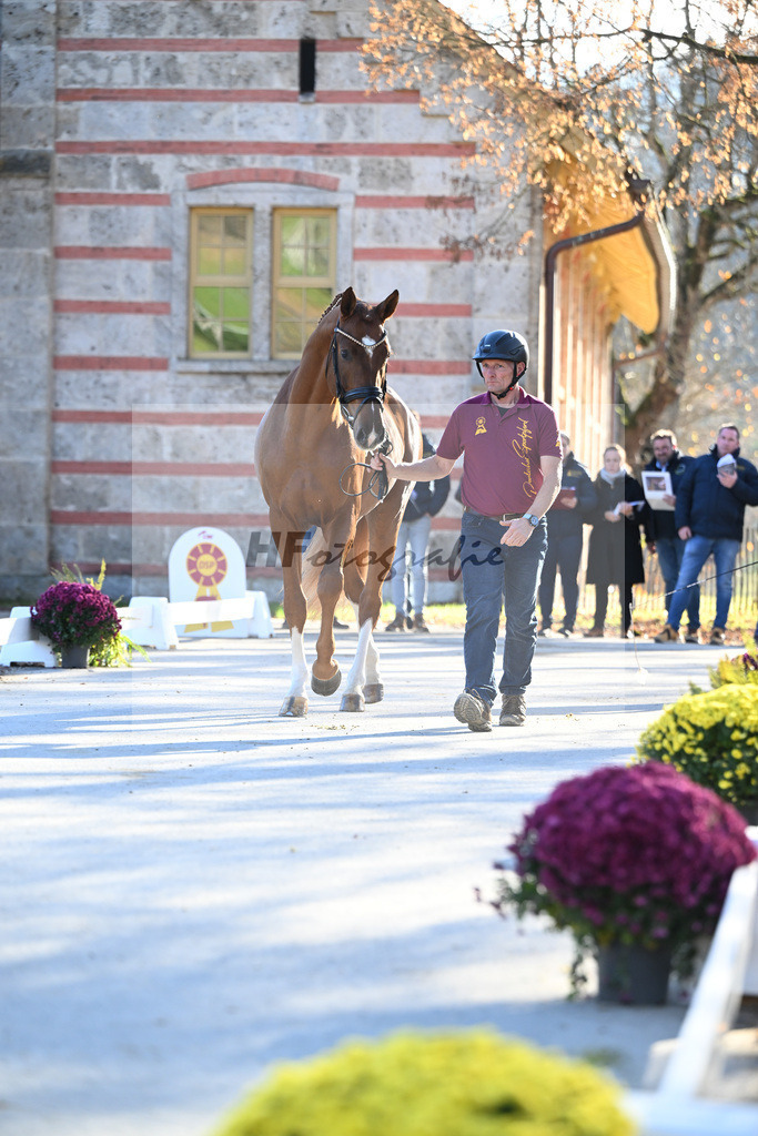 Kat-Nr. 22 Secret x Revolution_Gestuet Greim_47251006 | hf-fotografie - Realisiert mit Pictrs.com