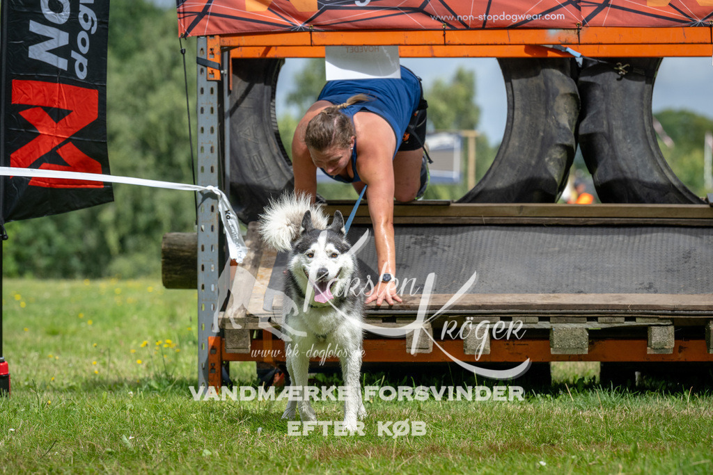 1147_ZZ92974 | kk-dogfotos