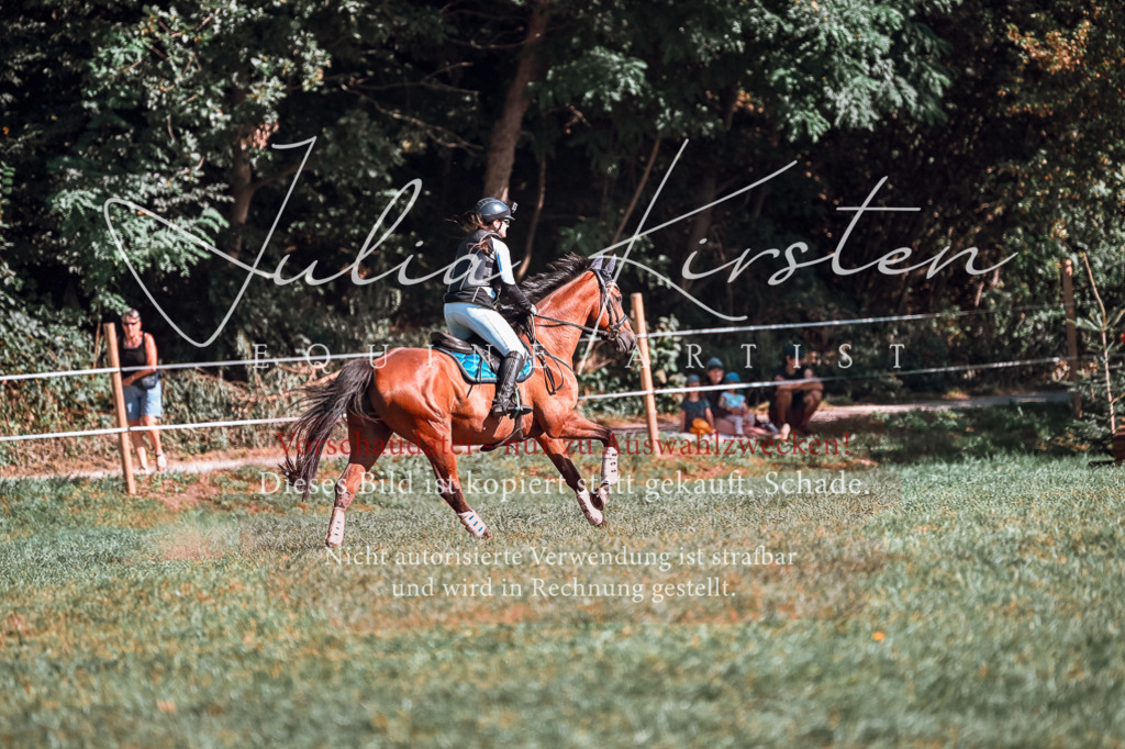 DSC_0733 | Pferde- und Turnierfotografie in Westsachsen. Pferdeportraits, Auftragszeichnungen und intuitive Kunst.