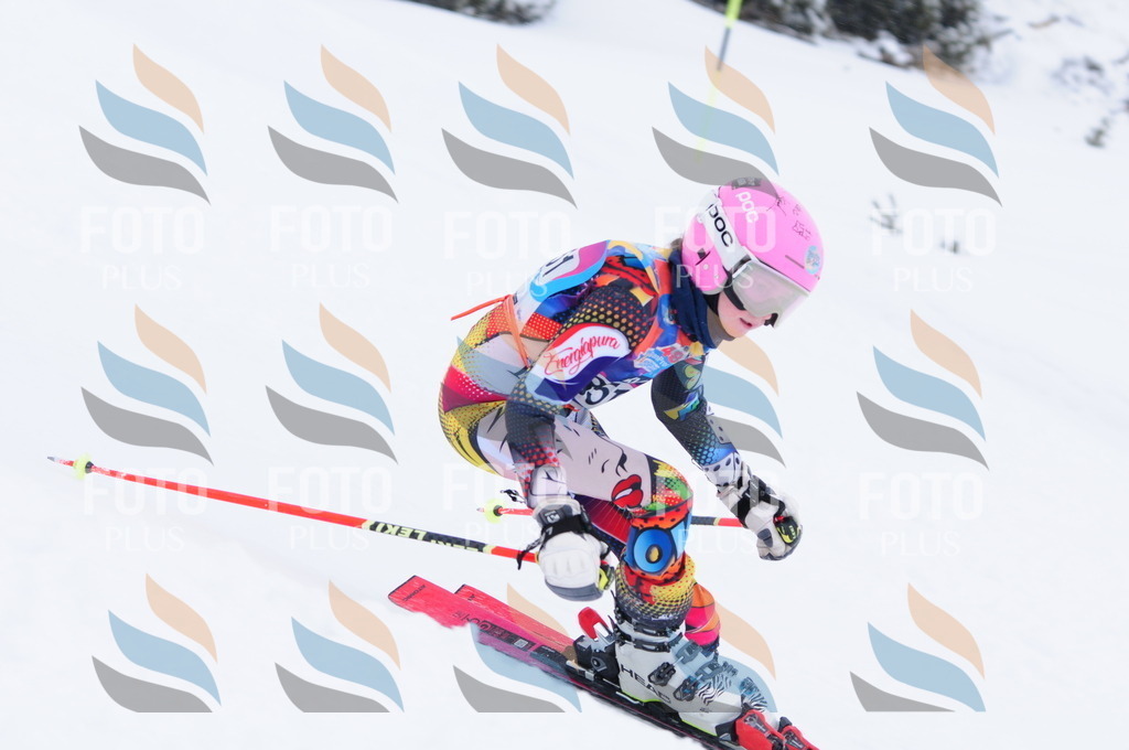 C3755 | holidayphoto