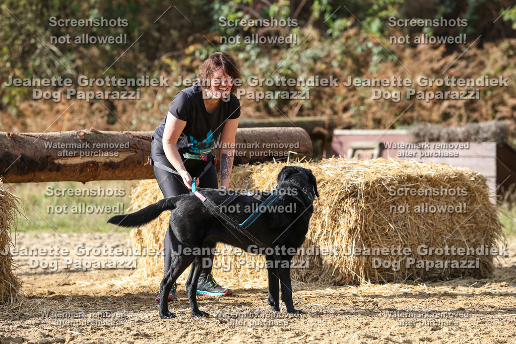 Dog Paparazzi - Strongdog 10-25-5078 | Dog Paparazzi Jeanette Grottendiek Fotografie & Videografie - Realisiert mit Pictrs.com