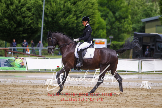 DKP40675 | Turniersportfotografie; Pferdefotografie; Dressurfotografie