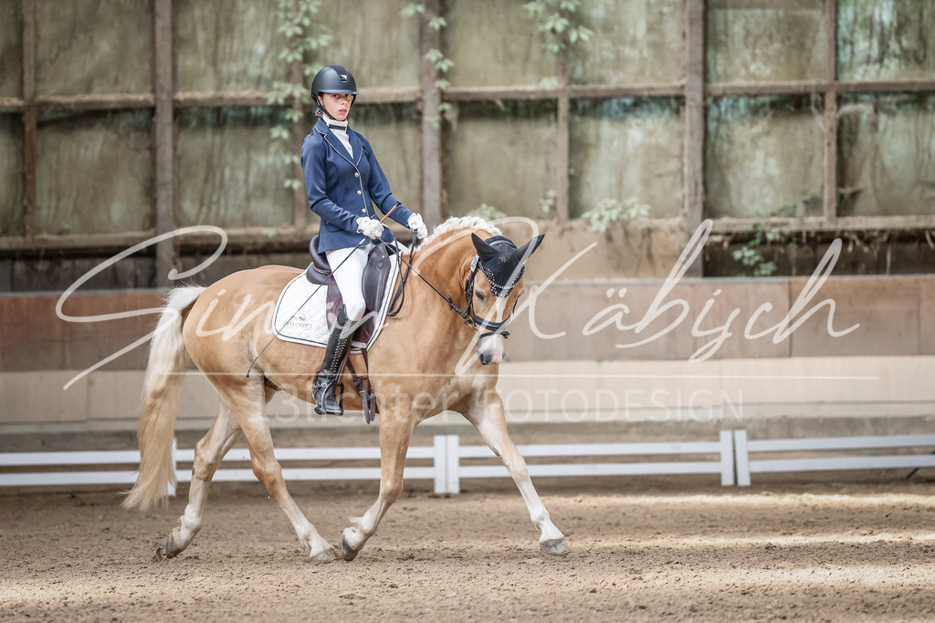 20250622-_3LI0994 | Tierfotografie Pferde, Hunde, Katzen, Haustiere.
Turnierfotografie Reitturniere, Reiten, Springreiten, Dressur in Hanau, dem Main-Kinzig-Kreis und dem Rhein-Main- Gebiet um Frankfurt