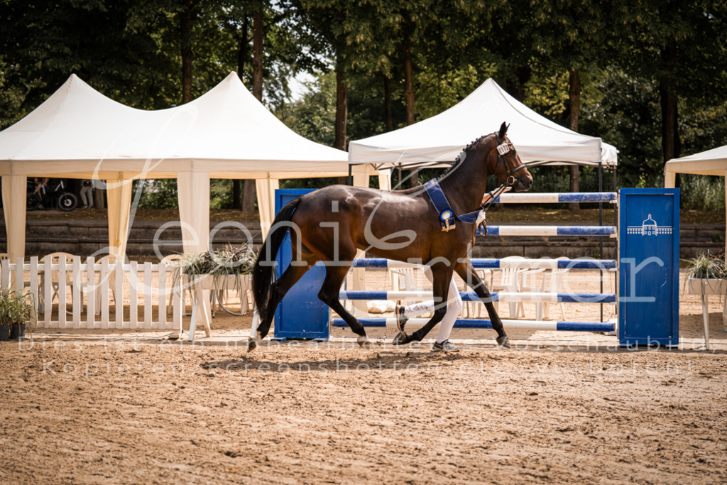 1.Fr00199 | Leoni Ertmer Photography - Realisiert mit Pictrs.com