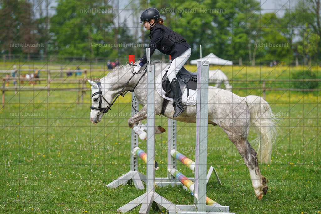 20240509-FAH02267 | Turnierbilder der Turnierfotografen Bayern, Pferdesport Fotografie, Reitsportbilder, Turnier Landberg am Lech, Turnierbilder bayern, Fotoagentur Herrmann