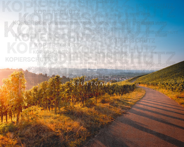 DSCF6525 | "Entdecken Sie atemberaubende Bilder von Stuttgart im Fotowerk Stuttgart! Kaufen Sie hochwertige Fotos auf Leinwand oder laden Sie digitale Downloads für Ihre Wohnung oder Büros herunter.  - Realisiert mit Pictrs.com