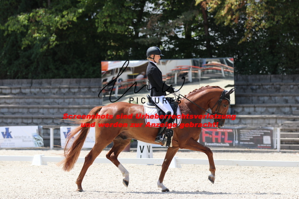 IMG_4508 | lmwpictures - Realisiert mit Pictrs.com