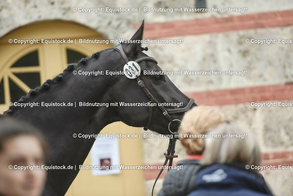 20230514_Impressionen_0138 | equistock
