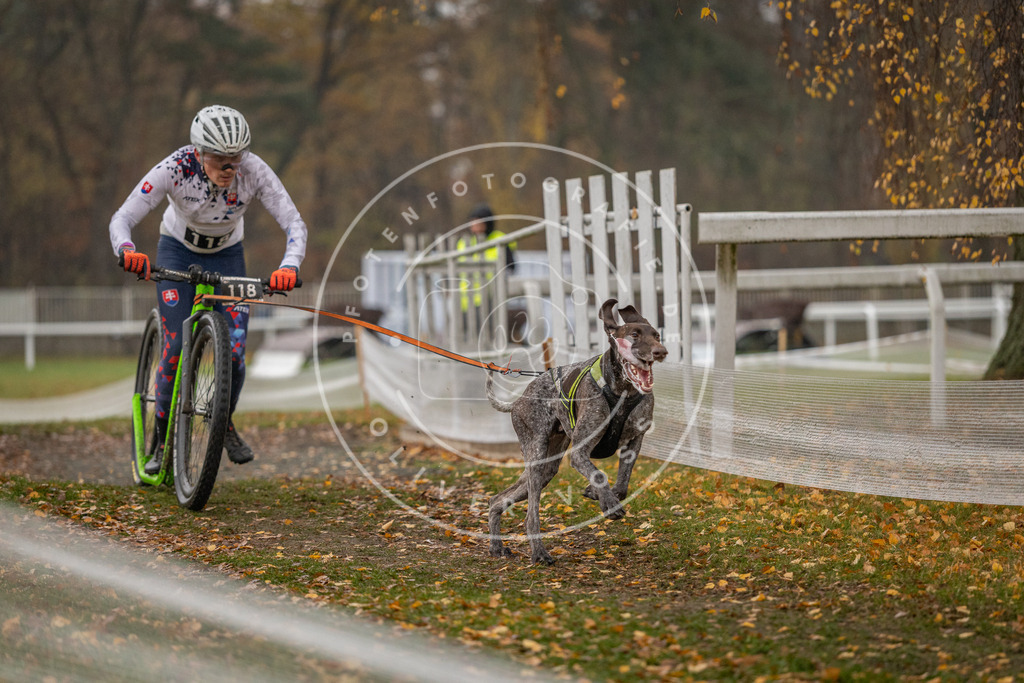 CaniXpix_DV3A7755 | Hundefotografie, Tierfotograf, Pfotenfotografie, Fotoshooting Hund, Hunde Portrait, Hundesport, Hundeportraits, Heideshooting, Hunde, Sportfotograf, Hundefotograf, Turnierhundsport, THS,  - Realisiert mit Pictrs.com