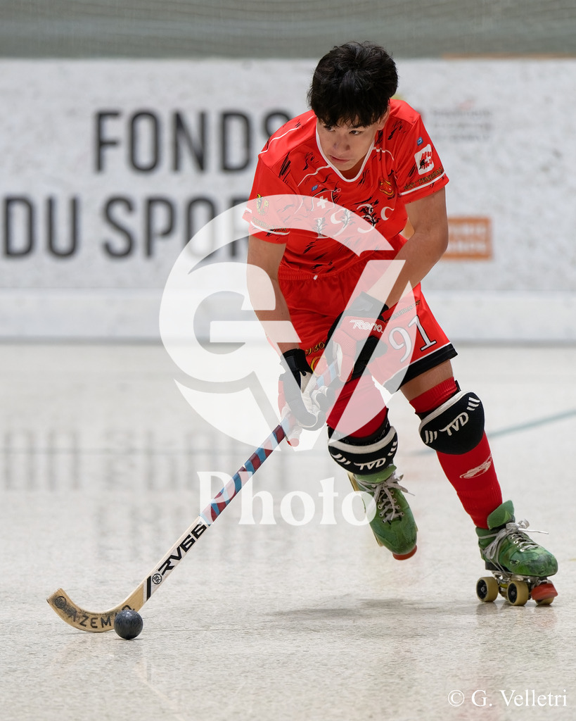 DSC_5302 | Velletri Photo