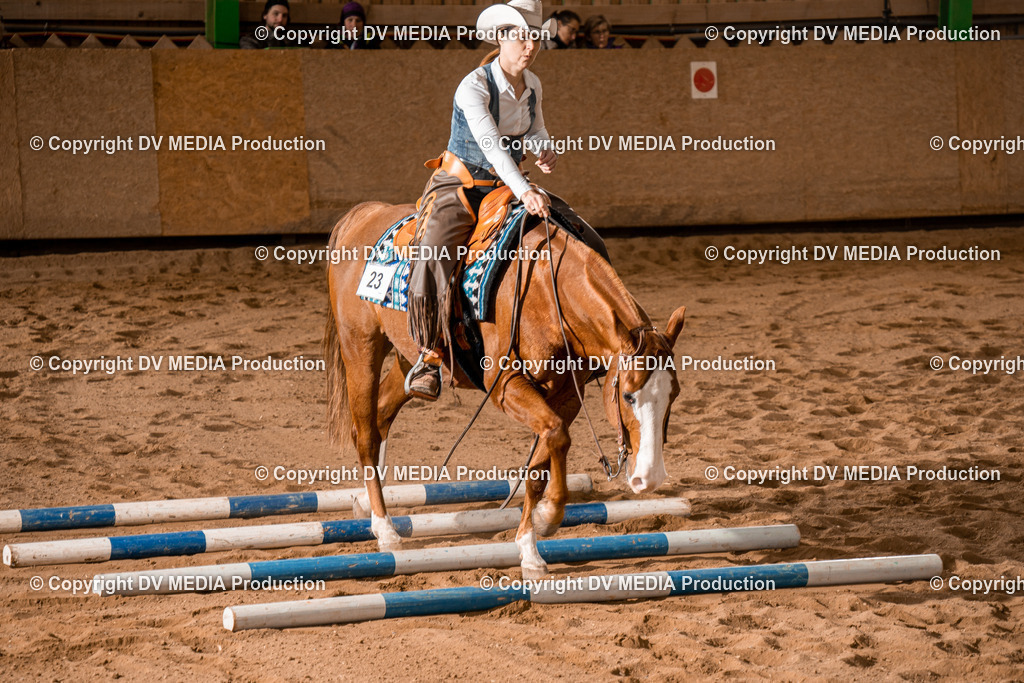 BA400767 | dv-media-shop - Realisiert mit Pictrs.com