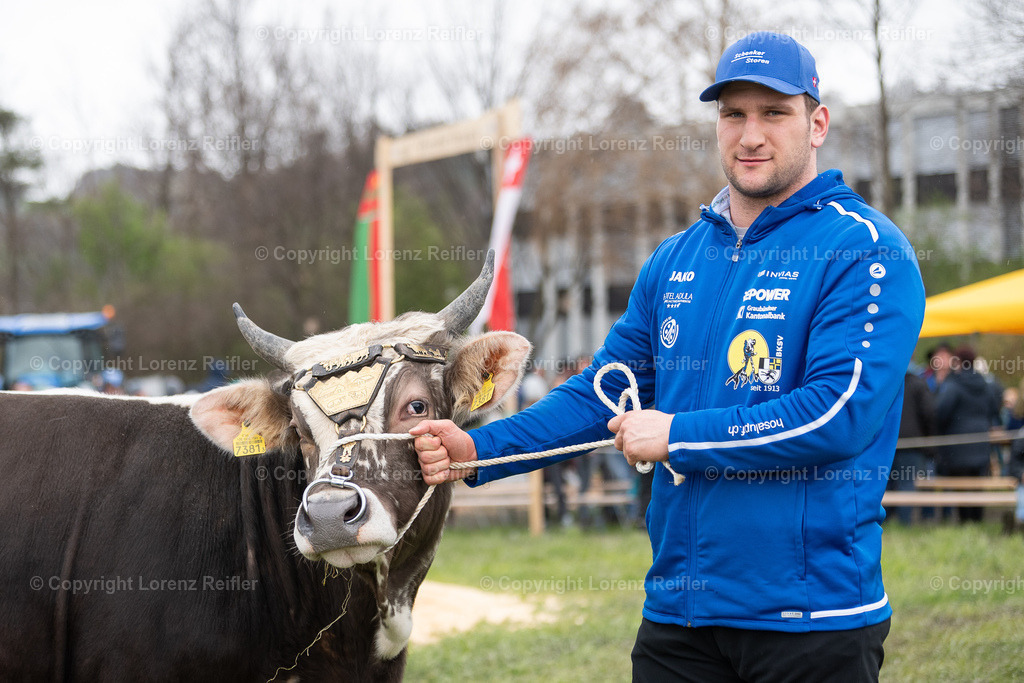 Schwingen -  Rheintal-Oberländer 2024 | Trübbach, 24.3.24, Schwingen - Rheintal-Oberländer.