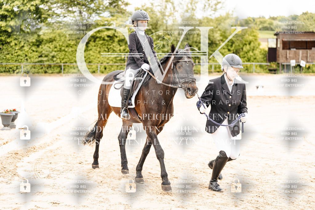 CK903686 | Turnierfotografie Pferdefotografie Trier Rheinland-Pfalz Pferdesport Reitsport Tierfotografie Sportfotografie Pferdevideo Pferdevideografie Equestrianvideography equestrianphotography  - Realisiert mit Pictrs.com