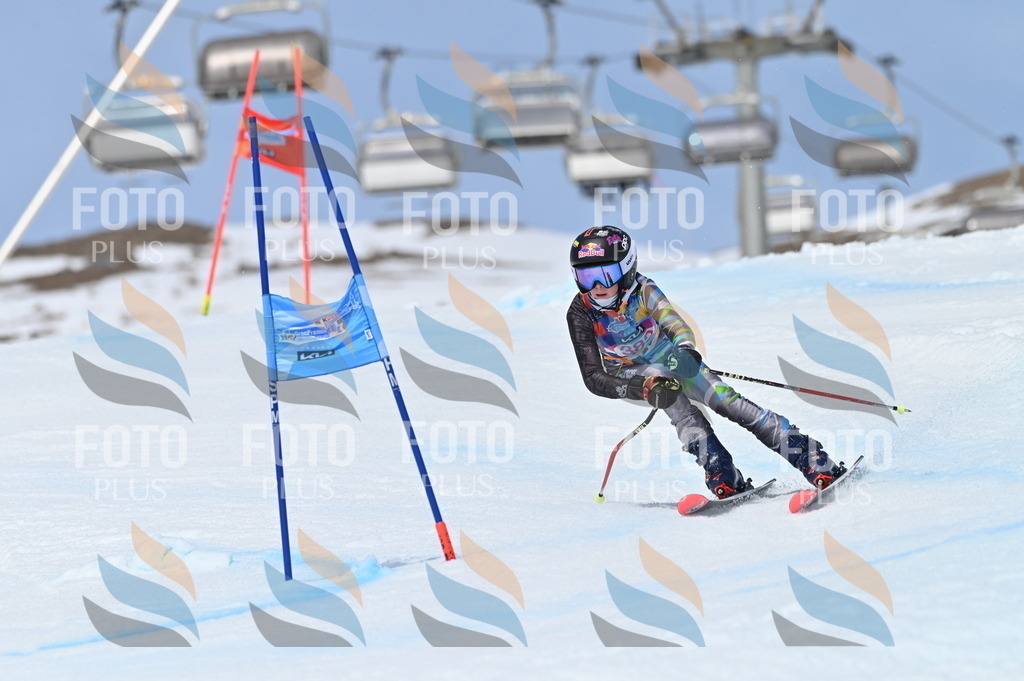 BGV_4216 | holidayphoto