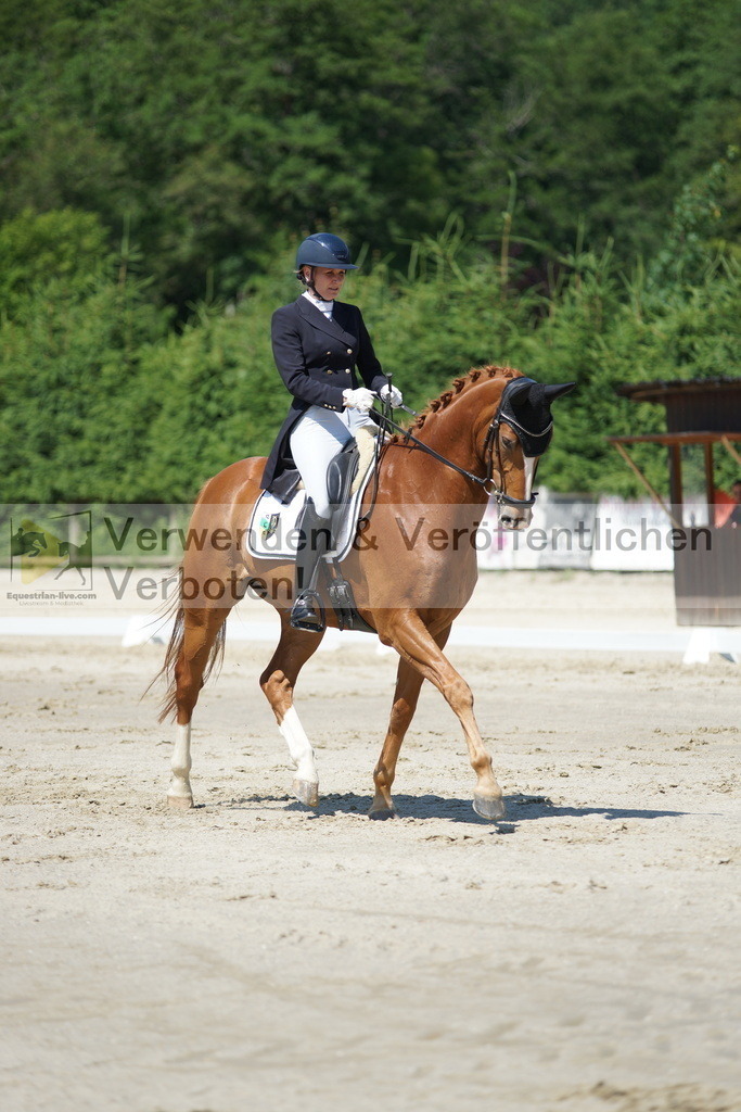 DSC03160 | equestrian-live-com