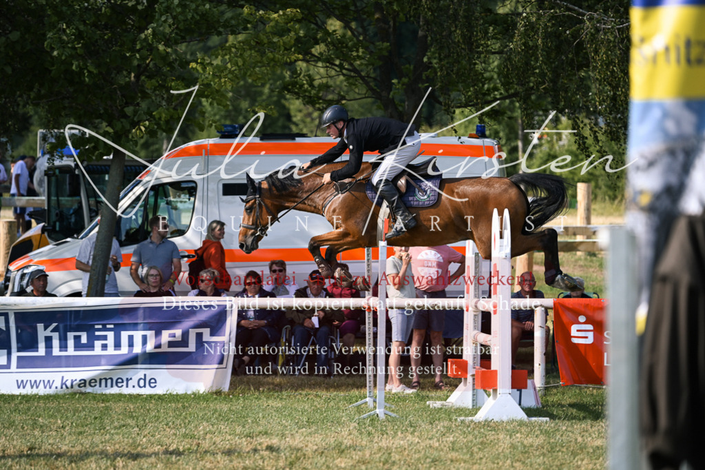 DSC_1493 | Pferde- und Turnierfotografie in Westsachsen. Pferdeportraits, Auftragszeichnungen und intuitive Kunst.