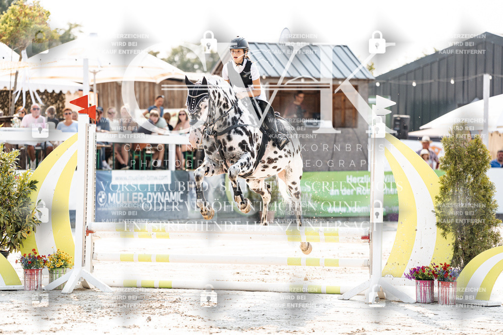 CK902816 | Turnierfotografie Pferdefotografie Trier Rheinland-Pfalz Pferdesport Reitsport Tierfotografie Sportfotografie Pferdevideo Pferdevideografie Equestrianvideography equestrianphotography  - Realisiert mit Pictrs.com