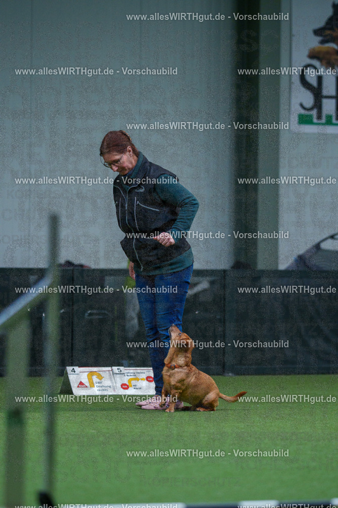 7R501869 | Professionelle Tierfotografie in Mönchengladbach von Daniel Wirth (allesWIRTHgut). Liebevolle & natürliche Bilder von Hunden & Katzen für unvergessliche Erinnerungen.