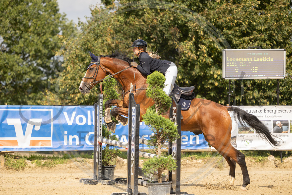 994A7844 | sabrinanicolaifotografie - Realisiert mit Pictrs.com