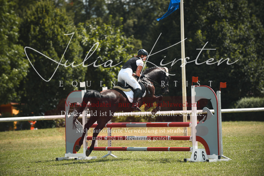 DSC_6647 | Pferde- und Turnierfotografie in Westsachsen. Pferdeportraits, Auftragszeichnungen und intuitive Kunst.